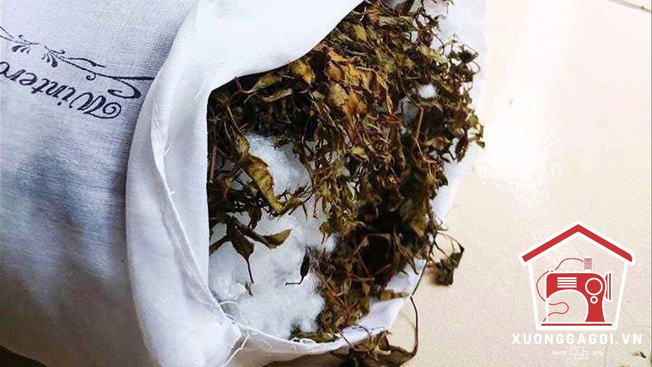 Tác dụng của gối đinh lăng