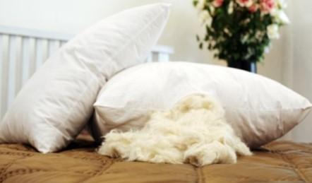 bán bông gòn tự nhiên làm gối