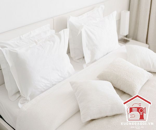 Mua gối khách sạn
